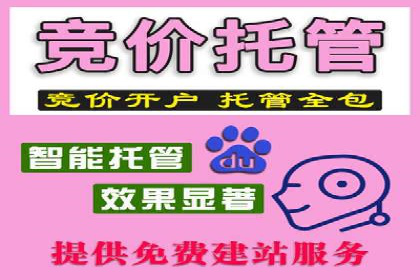 SEM账户托管助力企业增长案例